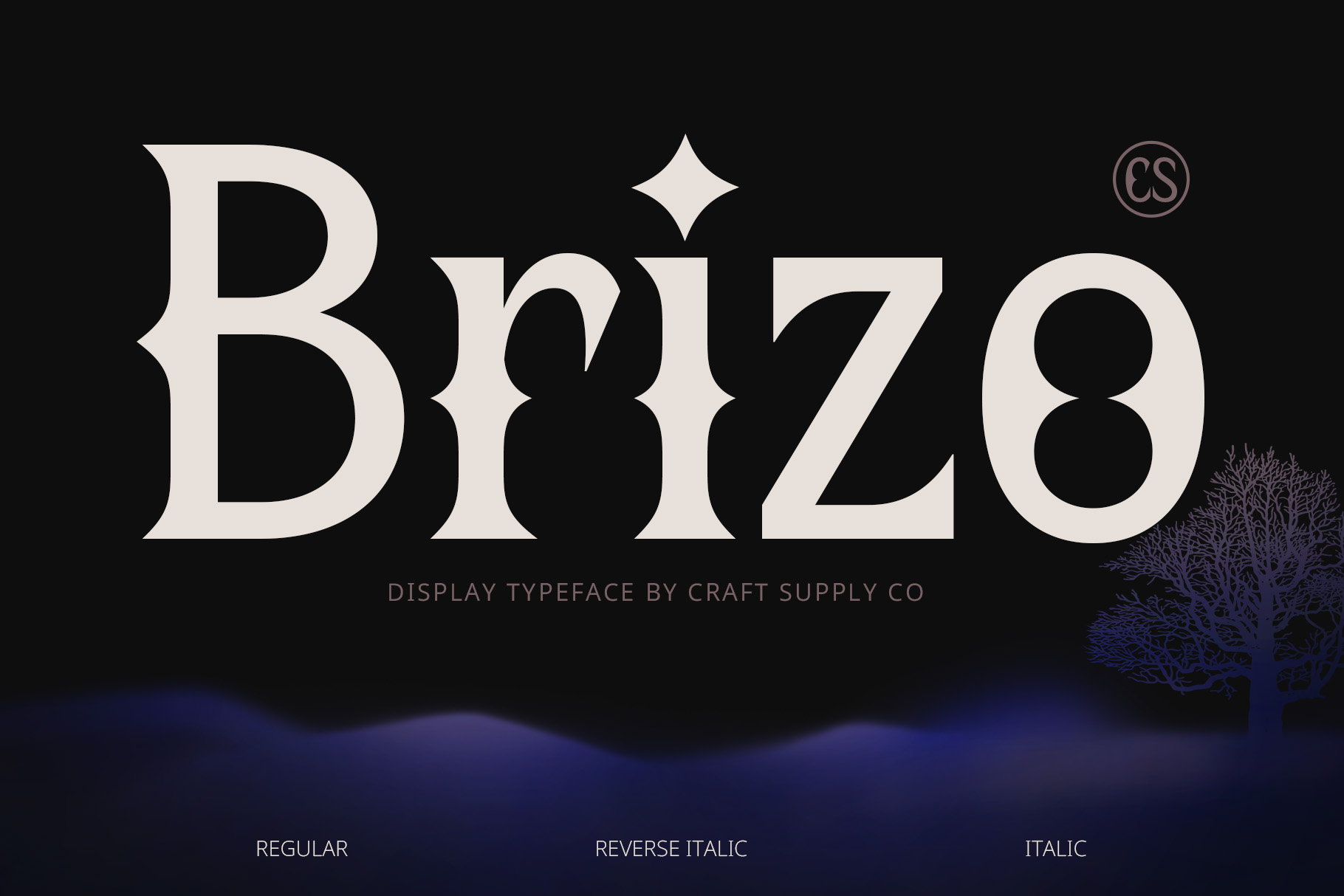 CS Brizo Font: Modern Serif Font with Sharp - Craft Supply Co