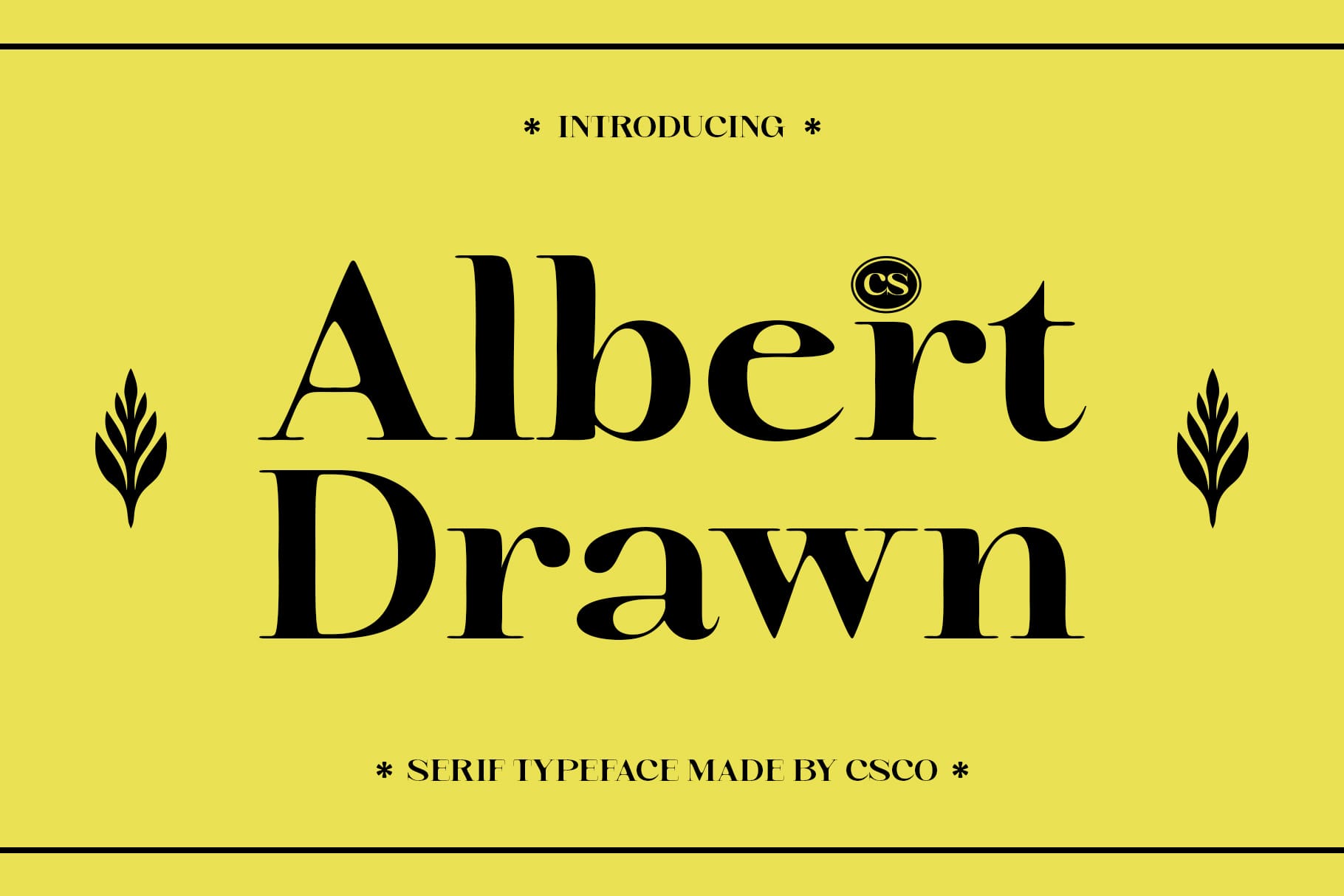 CS Albert Drawn The Essence of Timeless Elegance Craft Supply Co