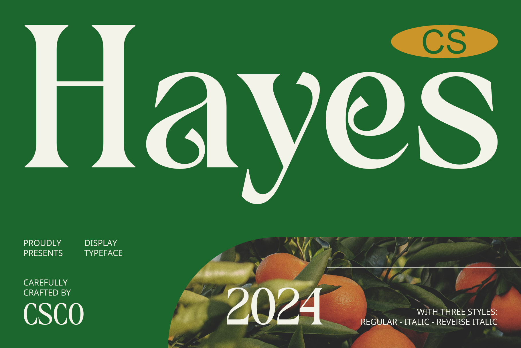 CS Hayes - Art Nouveau Font, image size:1820x1214