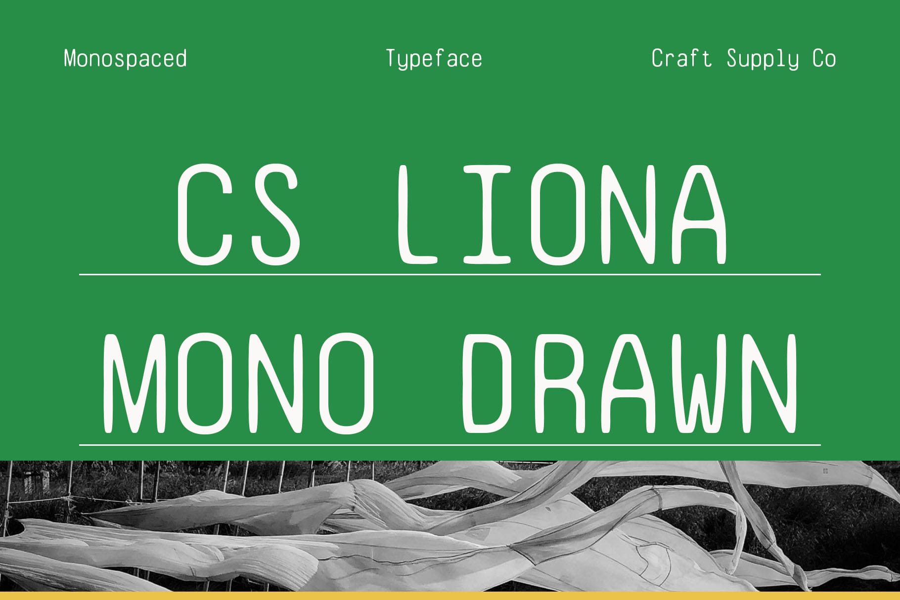 CS Liona Mono Drawn: Precision Meets Artistic Expression - Craft Supply Co