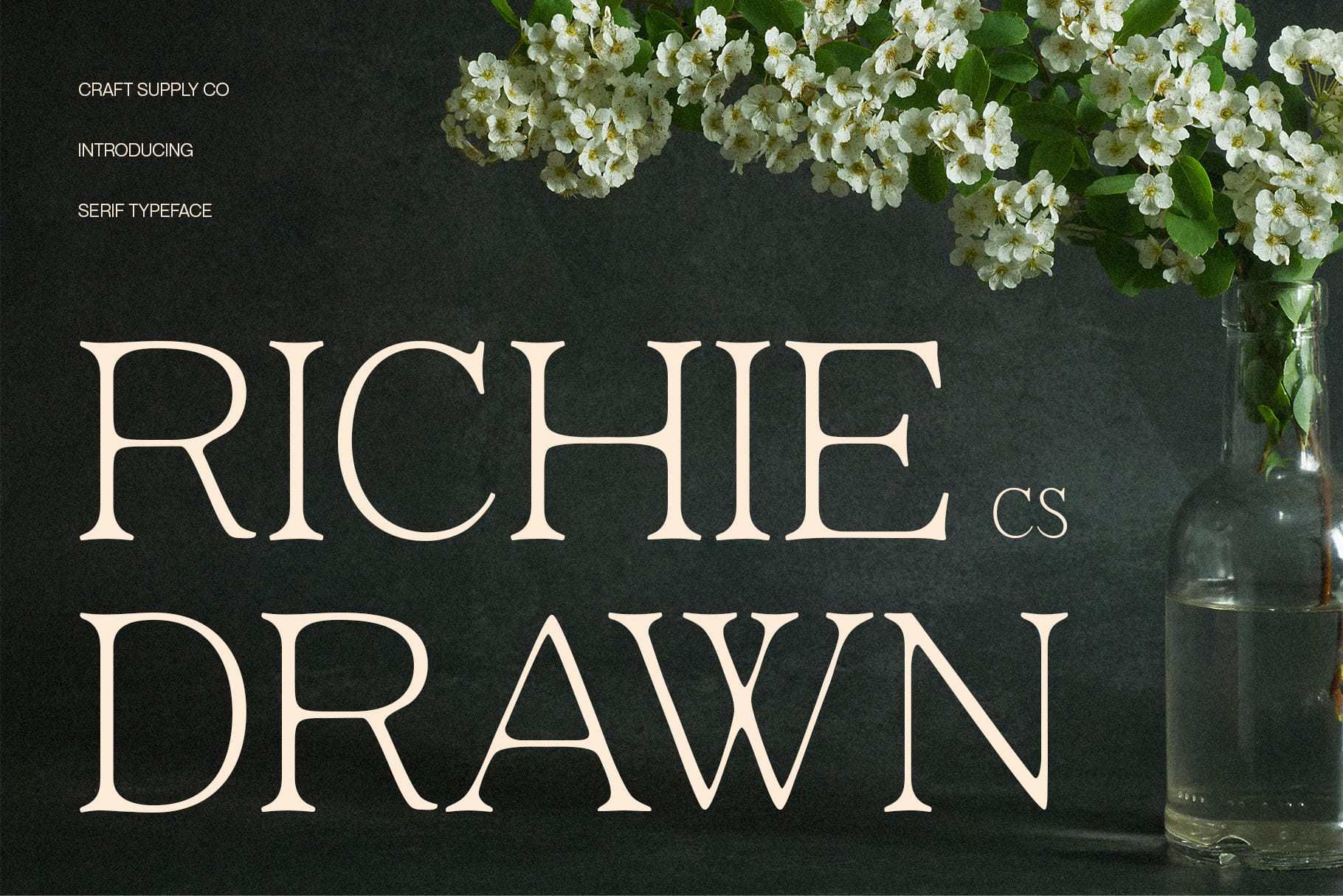 Ritchie Lettering CS Richie Drawn: Slim Modern Serif with a Soft Handcrafted Finish ...