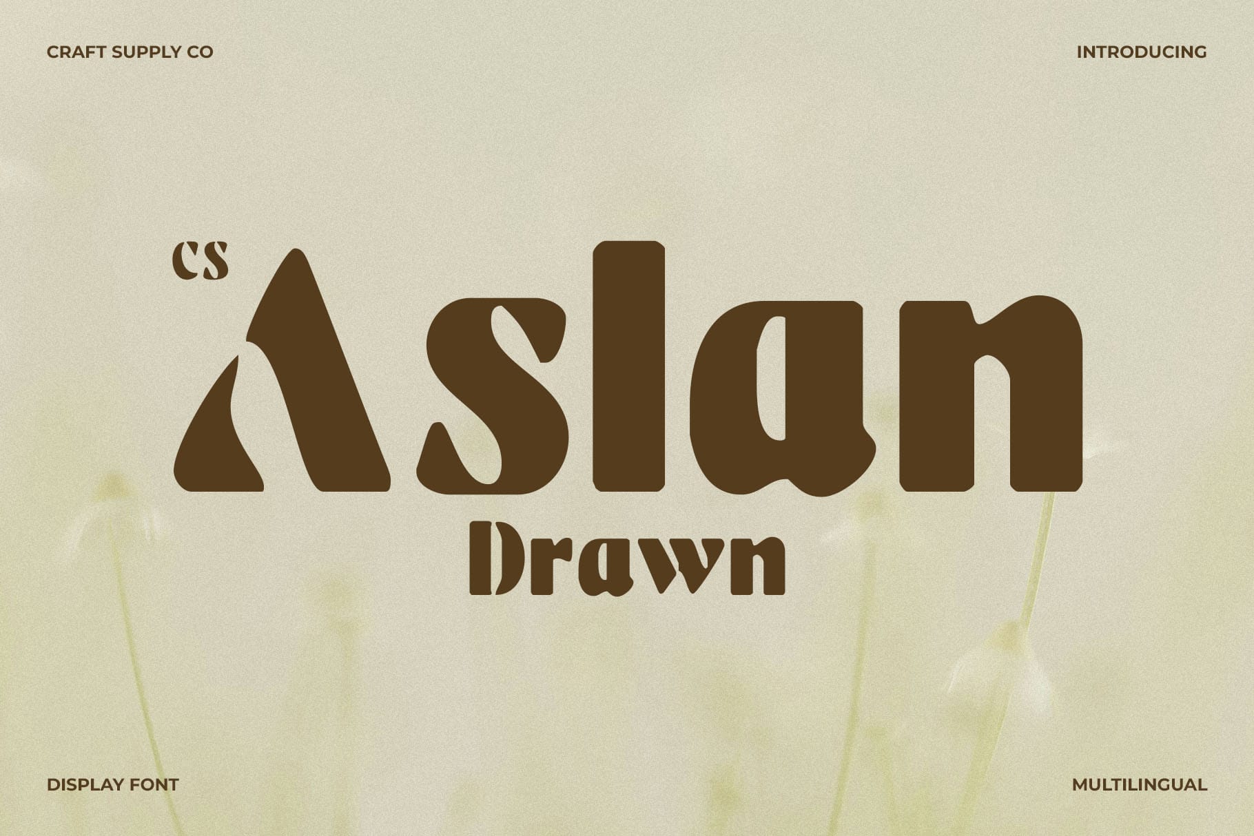 CS Aslan Drawn – Bold Sans Serif Font with Drawn Texture