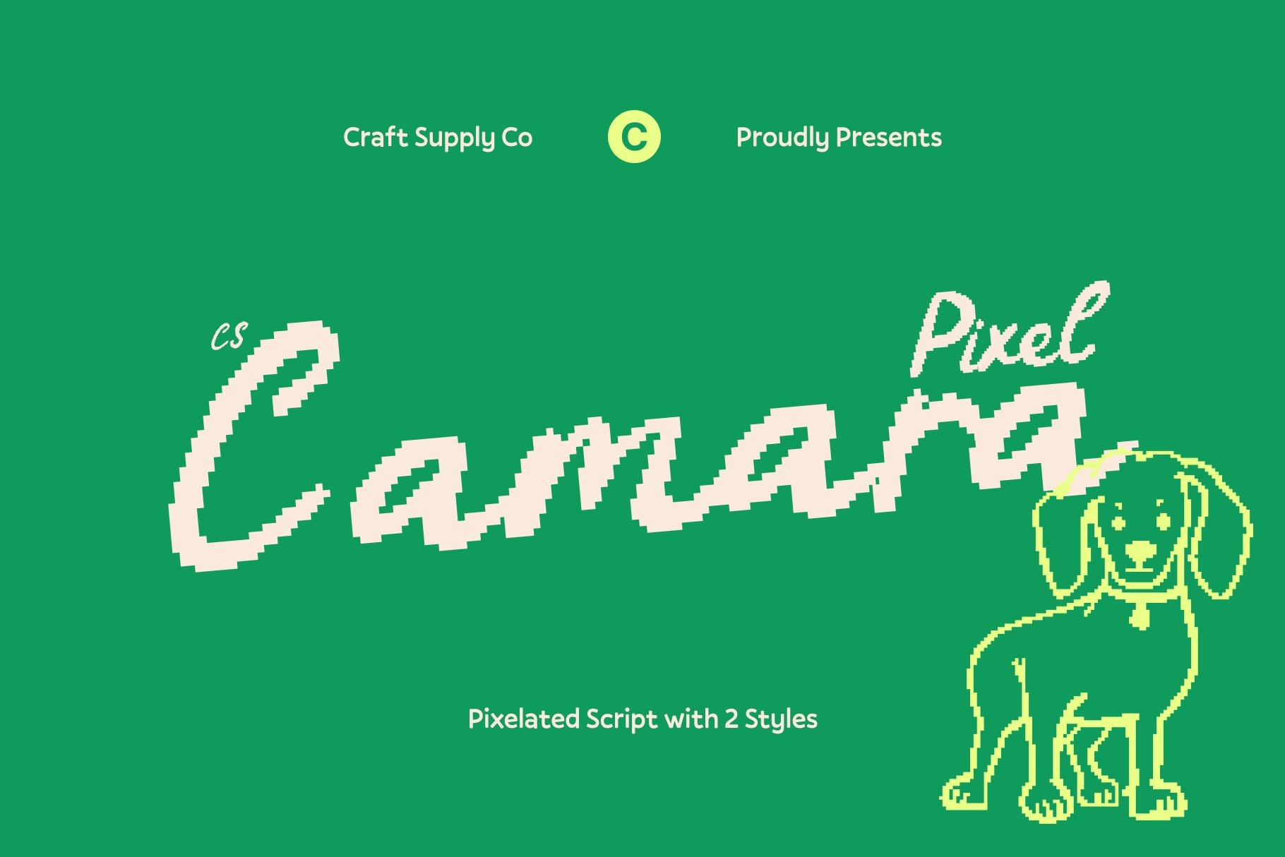 CS Camara Pixel – Elegant Handwritten Script Font
